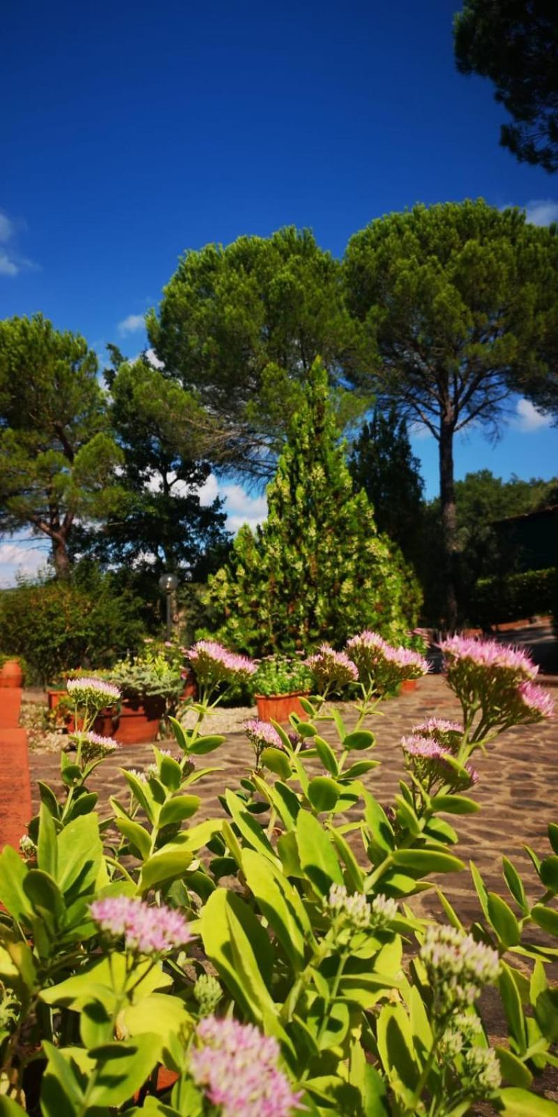 Villa Santa Margherita - La Suvera Ponte A Bozzone Exterior photo